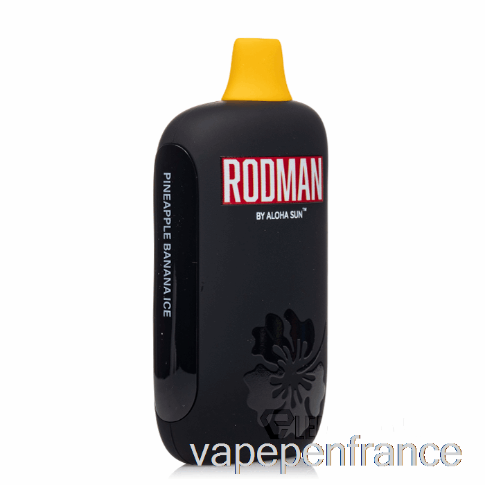 Stylo Jetable De Vape De Glace De Banane D'ananas De Rodman 9100